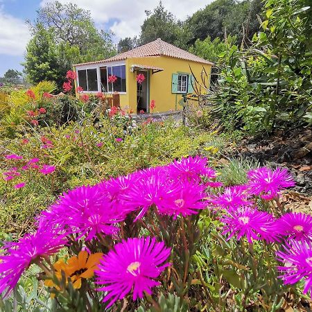 Irana Del Bosque Apartment Brena Baja Bagian luar foto
