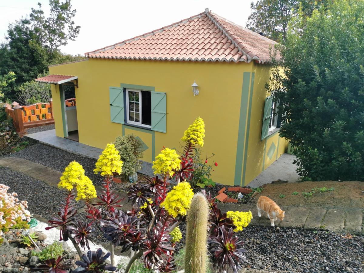 Irana Del Bosque Apartment Brena Baja Bagian luar foto