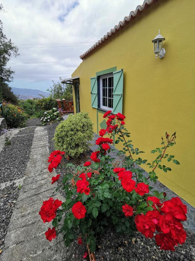 Irana Del Bosque Apartment Brena Baja Bagian luar foto
