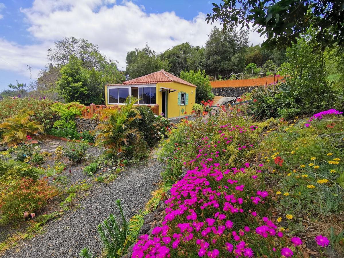 Irana Del Bosque Apartment Brena Baja Bagian luar foto