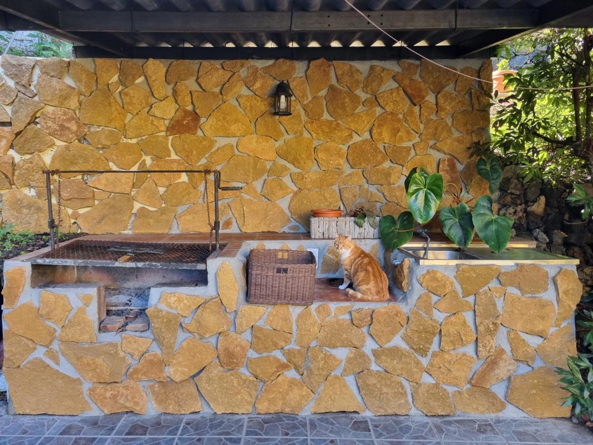 Irana Del Bosque Apartment Brena Baja Bagian luar foto